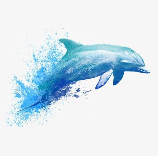 Watercolor Dolphin PNG, Clipart, Animal, Avoid, Decoration, Dolphin, Dolphin Clipart Free PNG Download