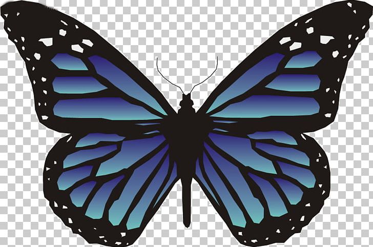 Butterfly Animation PNG, Clipart, Animal, Animated Cartoon, Black, Blue, Brush Footed Butterfly Free PNG Download