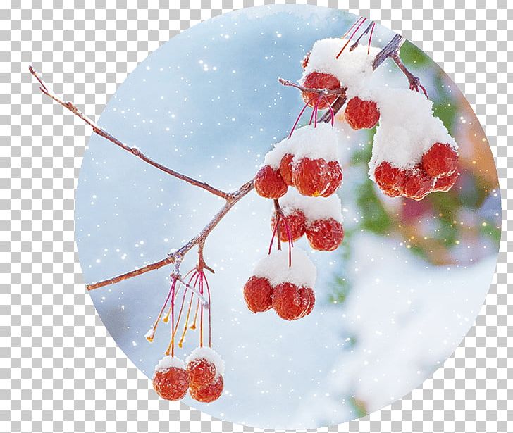 Christmas Ornament PNG, Clipart, Christmas, Christmas Ornament, Winter Landscape Free PNG Download