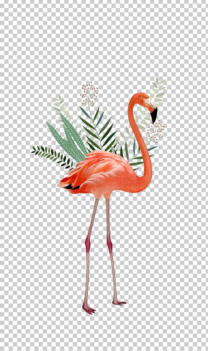 Flamingos Painting Illustration PNG, Clipart, Animal, Beak, Bird, Cartoon, Crane Free PNG Download