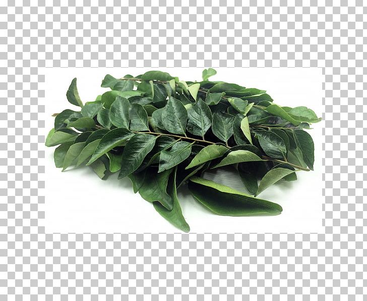 South Indian Cuisine Curry Tree Coriander PNG, Clipart, Basil, Chard, Collard Greens, Coriander, Curry Free PNG Download
