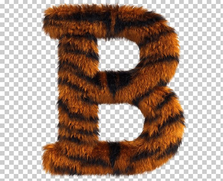 Tiger Fur Letter Roar Font PNG, Clipart, Animal, Animal Letters, Fur, Fur Clothing, Letter Free PNG Download