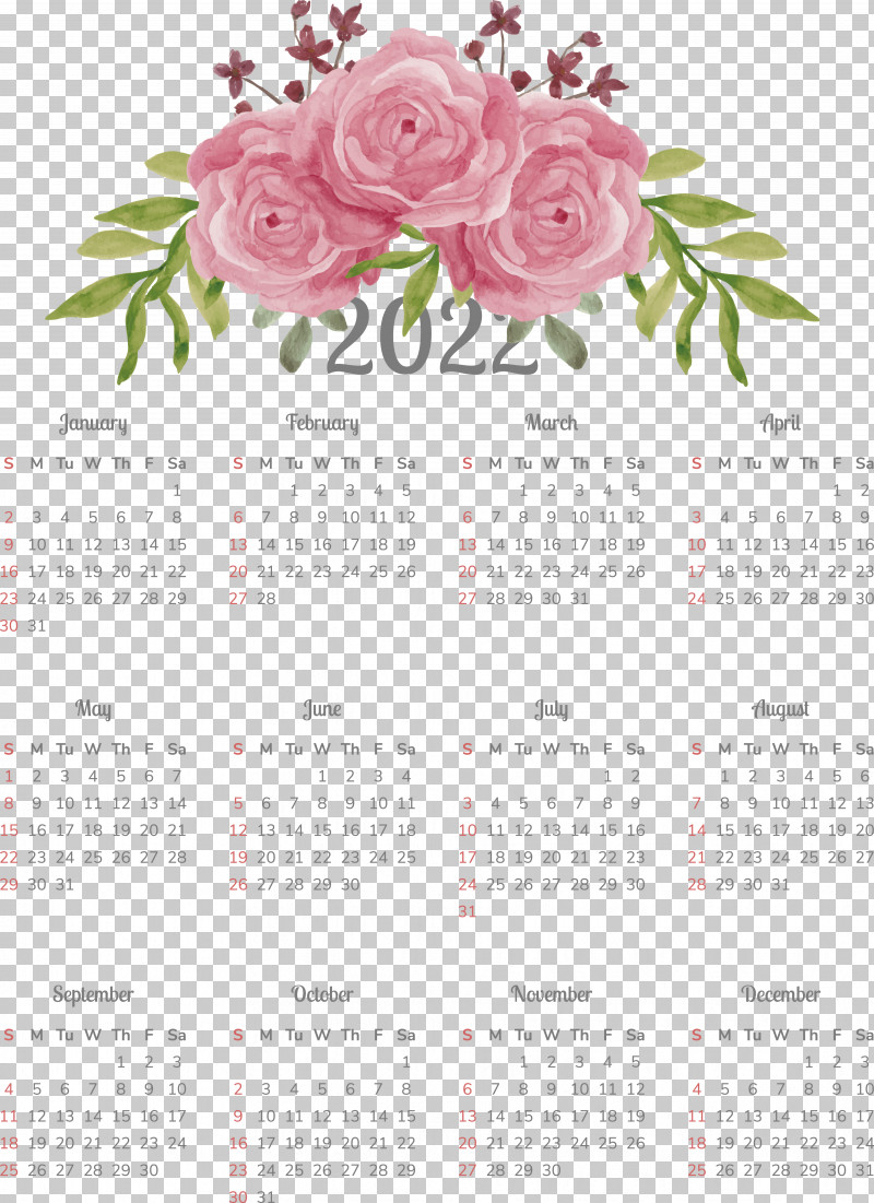 Floral Design PNG, Clipart, Biology, Calendar, Floral Design, Flower, Petal Free PNG Download
