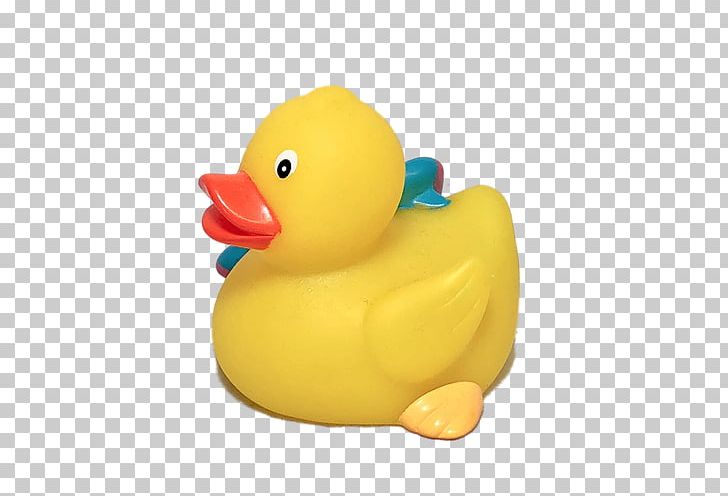 Duck Toy PNG, Clipart, Animals, Bath Duck, Beak, Bird, Duck Free PNG Download