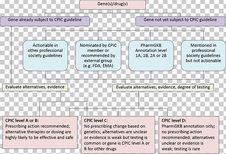 Pharmaceutical Drug PharmGKB Prioritization Clopidogrel PNG, Clipart, Angle, Area, Clopidogrel, Cyp2c9, Cyp2c19 Free PNG Download