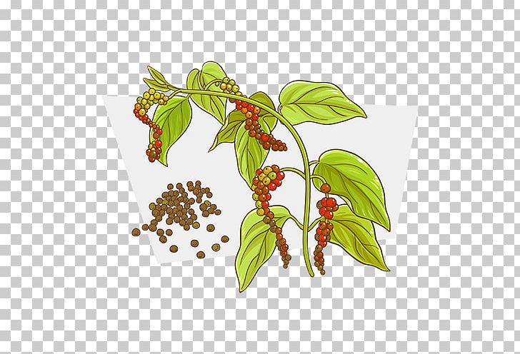 Black Pepper Long Pepper PNG, Clipart, Anti, Black Pepper, Bors, Cell, Chili Pepper Free PNG Download