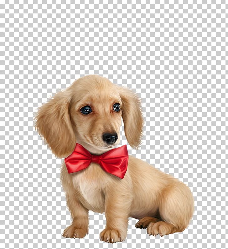 Golden Retriever Puppy Dog Breed PNG, Clipart, 2018, Animals, Carnivoran, Companion Dog, Computer Icons Free PNG Download