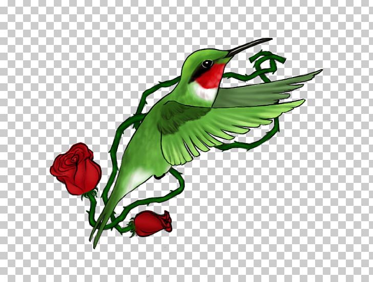Hummingbird M Crimea PNG, Clipart, Art, Artist, Beak, Bird, Branch Free PNG Download
