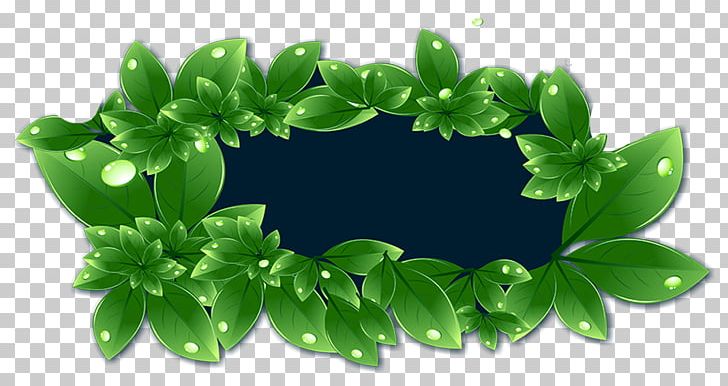 Leaf Fundal PNG, Clipart, Art, Autumn, Autumn Tourism, Background, Background Green Free PNG Download
