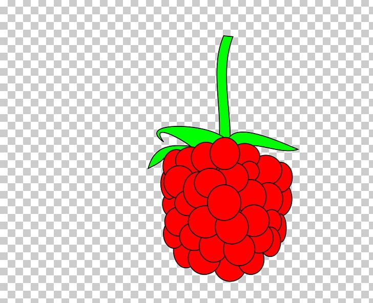 Raspberry Animation PNG, Clipart, Animation, Berry, Black Raspberry, Blueberry, Cartoon Free PNG Download