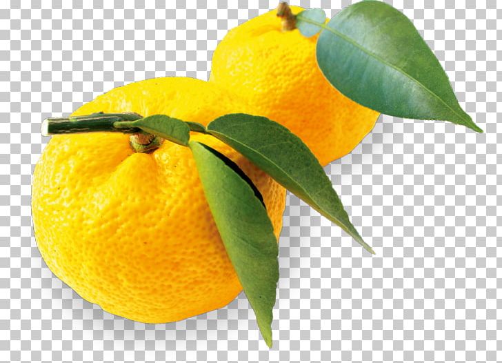 Clementine Lemon Mandarin Orange Citron Rangpur PNG, Clipart, Bitter Orange, Chenpi, Citric Acid, Citron, Citrus Free PNG Download