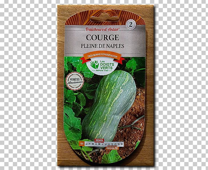 Cucumber Vegetarian Cuisine Food La Quinta Inns & Suites PNG, Clipart, Cucumber, Cucumber Gourd And Melon Family, Cucumis, Food, Gourd Order Free PNG Download