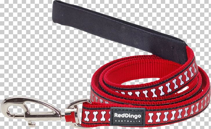 Dingo Dog Leash Pet Lead PNG, Clipart, Animals, Belt, Cat, Collar, Dingo Free PNG Download
