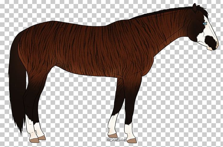 Mane Mustang Stallion Foal Mare PNG, Clipart,  Free PNG Download