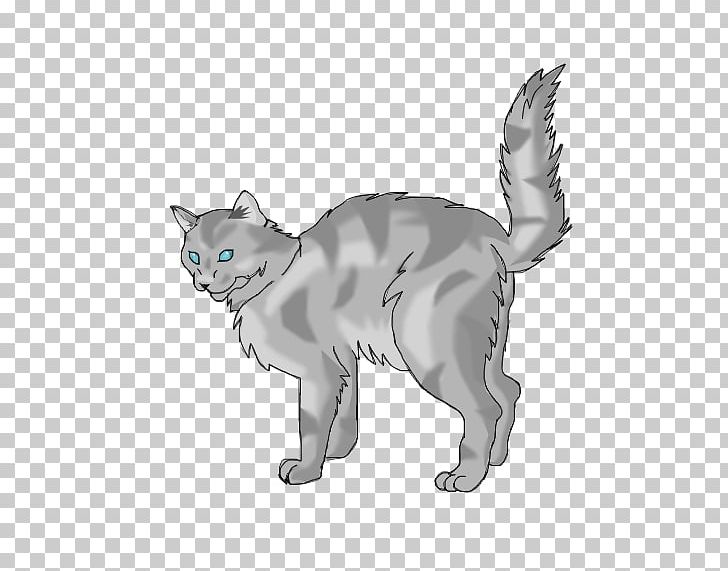 Whiskers Korat Kitten Tabby Cat Domestic Short-haired Cat PNG, Clipart, Animal, Animal Figure, Animals, Canidae, Carnivoran Free PNG Download