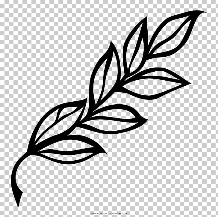 Bay Laurel Drawing Leaf Branch PNG, Clipart, Artwork, Bay Laurel, Black, Black And White, Blog Free PNG Download