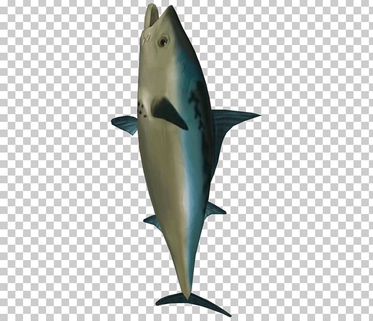 Common Bottlenose Dolphin Tucuxi Porpoise PNG, Clipart, Biggame Fishing, Bottlenose Dolphin, Common Bottlenose Dolphin, Dolphin, Fauna Free PNG Download