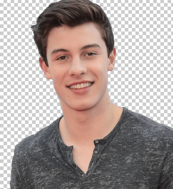 Shawn Mendes Hairstyle Model Beard PNG, Clipart, Ansel Elgort, Beard, Cheek, Chin, Forehead Free PNG Download