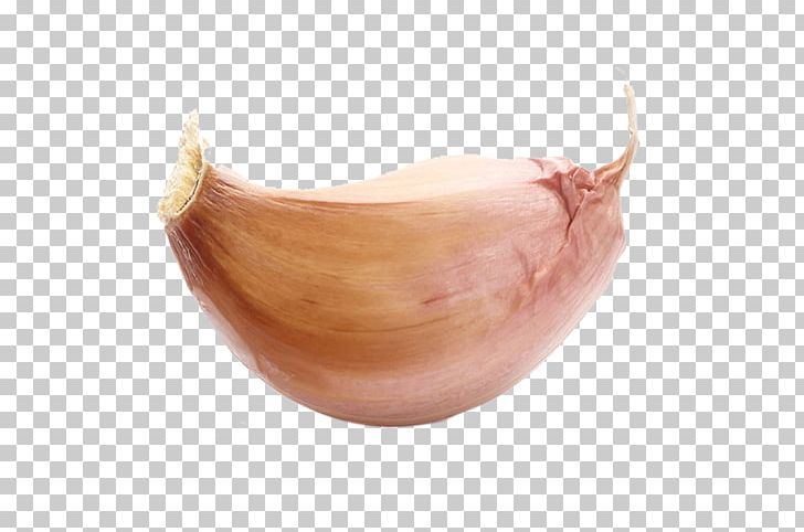 Solo Garlic Vegetable PNG, Clipart, Chili Garlic, Computer Icons, Cymbopogon Citratus, Download, Flavor Free PNG Download