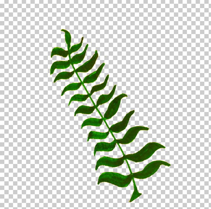 Leaf Aquatic Plants PNG, Clipart, Aquatic Plants, Botanical Illustration, Botany, Branch, Computer Icons Free PNG Download