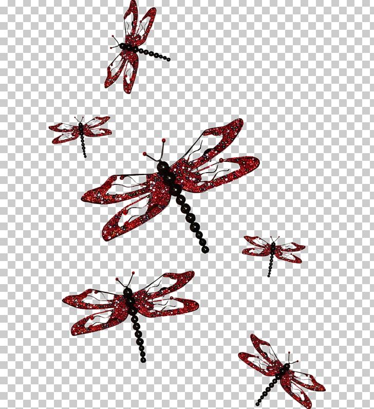 Insect Dragonfly Google S PNG, Clipart, Adobe Illustrator, Animal, Download, Encapsulated Postscript, Euclidean Vector Free PNG Download