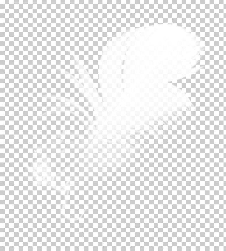 White Black Angle Pattern PNG, Clipart, Angle, Animals, Black, Black And White, Black White Free PNG Download