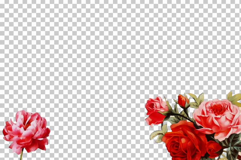 Garden Roses PNG, Clipart, Artificial Flower, Carnation, Cut Flowers, Floral Design, Flower Free PNG Download