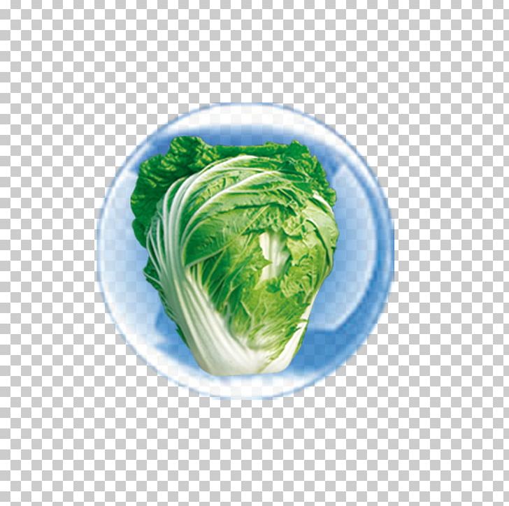 Leaf Vegetable Vegetarian Cuisine Dish Food Vegetarianism PNG, Clipart, Cabbage, Cabbage Cartoon, Cabbage Leaves, Cartoon Cabbage, Chinese Cabbage Free PNG Download