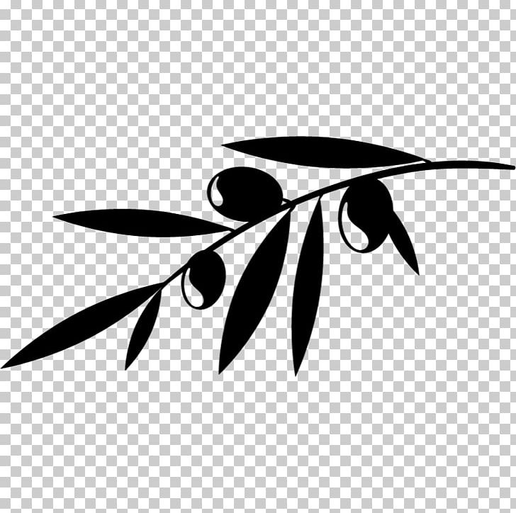 Olive Branch Olive Leaf PNG, Clipart, Black And White, Branch, Clip Art, Drawing, Food Drinks Free PNG Download