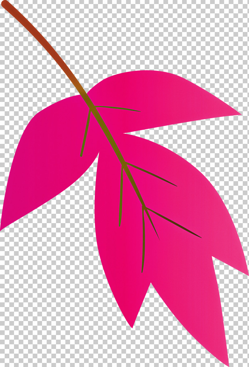 Leaf Pink Line Plant Magenta PNG, Clipart, Flower, Leaf, Line, Logo, Magenta Free PNG Download