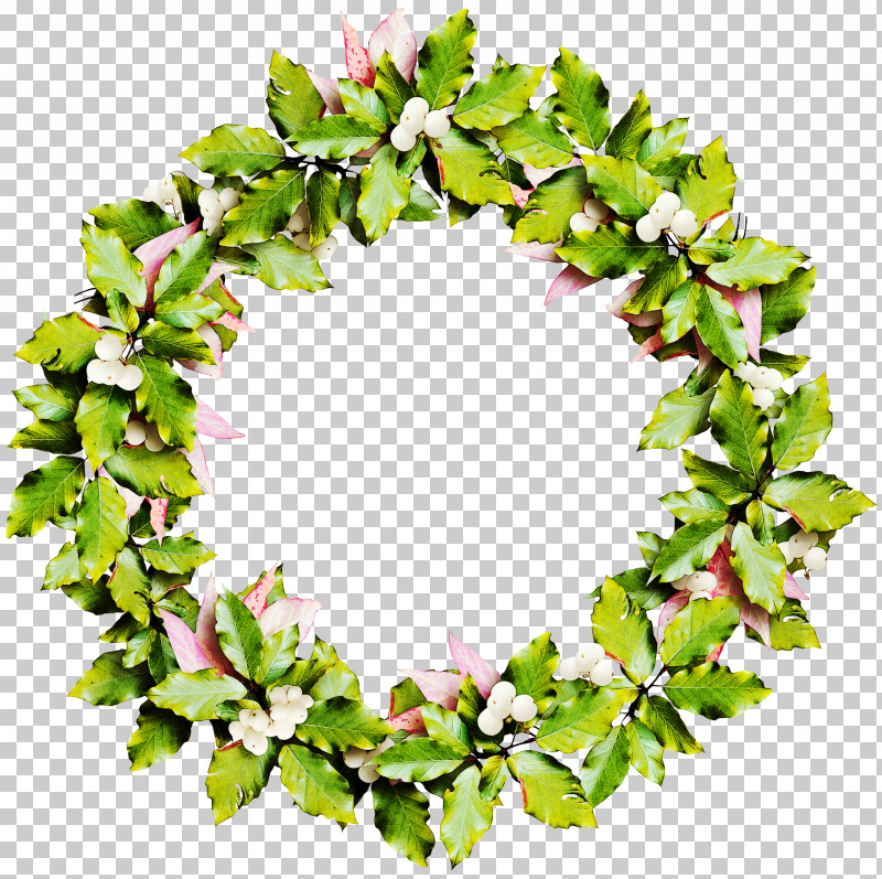 Christmas Decoration PNG, Clipart, Christmas Decoration, Flower, Ivy, Leaf, Lei Free PNG Download