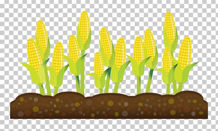 Intensive Crop Farming Agriculture Intensive Crop Farming PNG, Clipart, Agriculture, Clip Art, Commodity, Corn Plant Cliparts, Crop Free PNG Download
