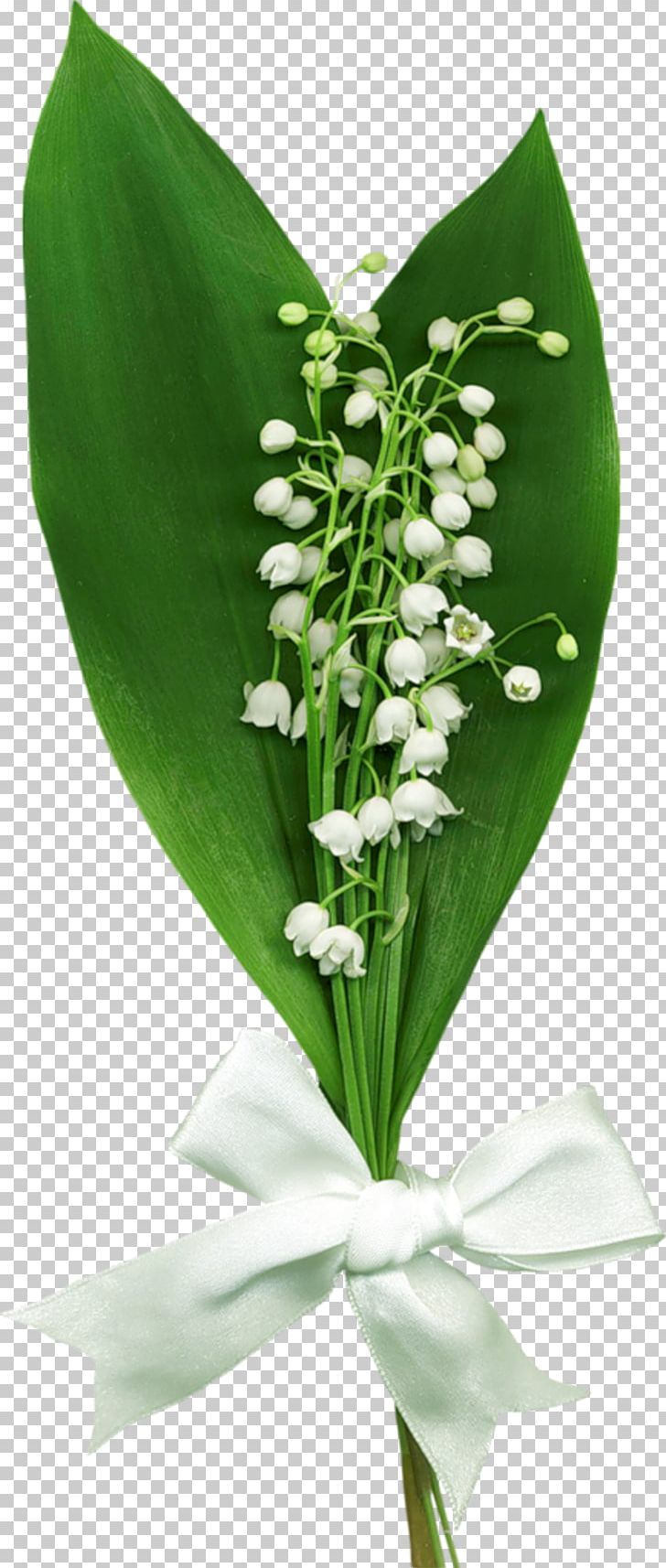 Lily Of The Valley PNG, Clipart, Animation, Convallaria, Cut Flowers, Floral Design, Floristry Free PNG Download