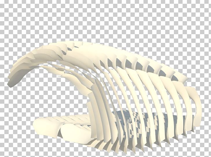 Parametric Design Rhinoceros 3D Grasshopper Parametric Equation PNG, Clipart, Claw, Com, Generative Model, Grasshopper, Insects Free PNG Download