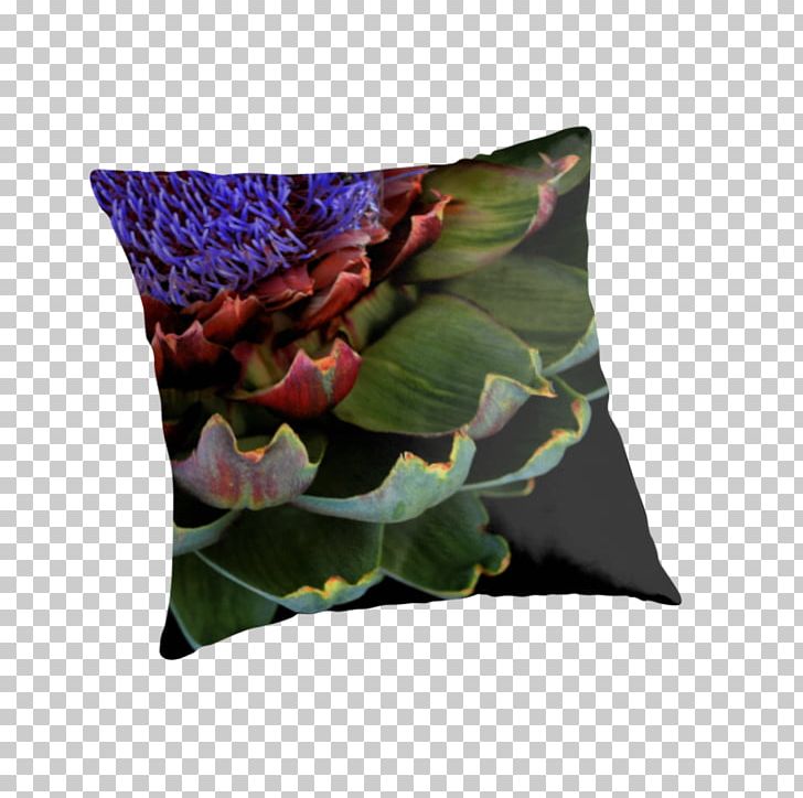 Throw Pillows Cushion Plant PNG, Clipart, Cushion, Furniture, Pillow, Plant, Throw Pillow Free PNG Download