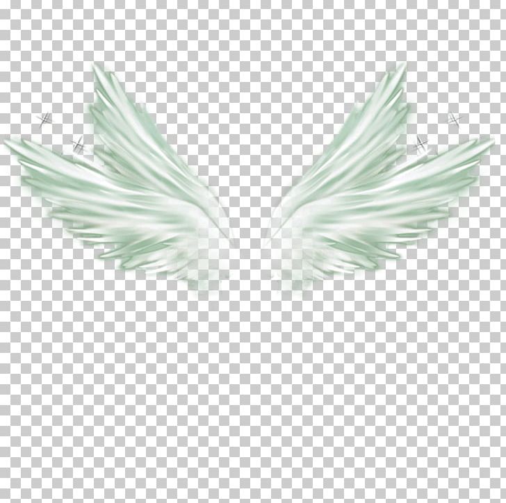 Wing Feather White PNG, Clipart, Angel Wing, Angel Wings, Black White ...