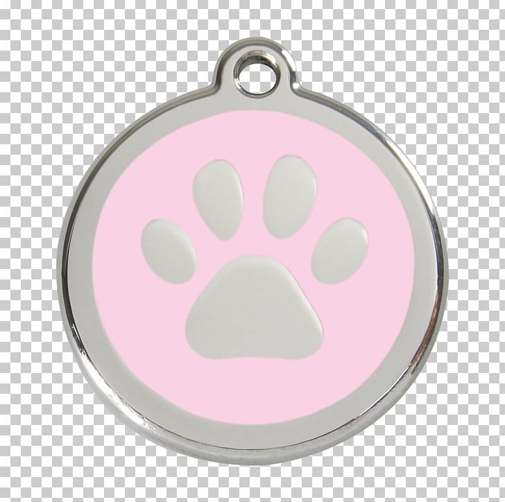 Dog Pet Tag Dingo Stainless Steel PNG, Clipart, Animals, Cat, Dingo, Dog, Dog Licence Free PNG Download