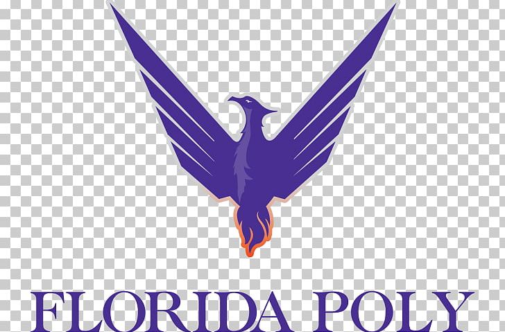 Florida Polytechnic University University Of Central Florida Phoenix Students' Union PNG, Clipart,  Free PNG Download
