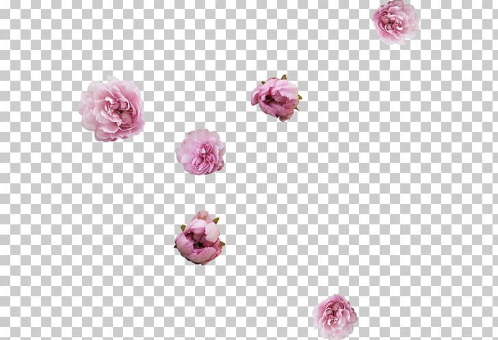 Flower Drawing Collage PNG, Clipart, Albom, Background, Collage, Drawing, Float Free PNG Download