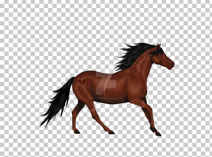 Horse Stallion Mane Rein Pony PNG, Clipart, Animals, Bridle, Colt, Halter, Horse Free PNG Download