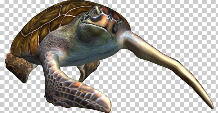 Sea Turtle PNG, Clipart, Animal, Animal Figure, Animals, Emydidae, Organism Free PNG Download