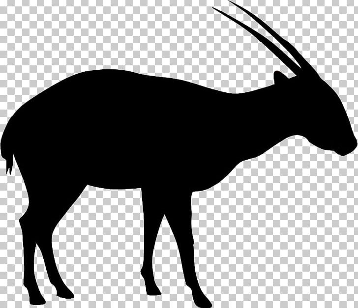 Antelope Saola Annamite Range Gemsbok Bovid PNG, Clipart, Animal, Antelope, Black And White, Blackbuck, Bovid Free PNG Download