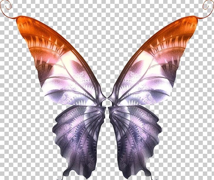 Brush-footed Butterflies Butterfly PNG, Clipart, Brush Footed Butterflies, Brush Footed Butterfly, Butterflies And Moths, Butterfly, Insect Free PNG Download