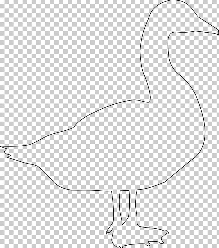 Duck Goose Bird Feast Of Saint Martin Feather PNG, Clipart, Animals, Area, Arm, Artwork, Beak Free PNG Download