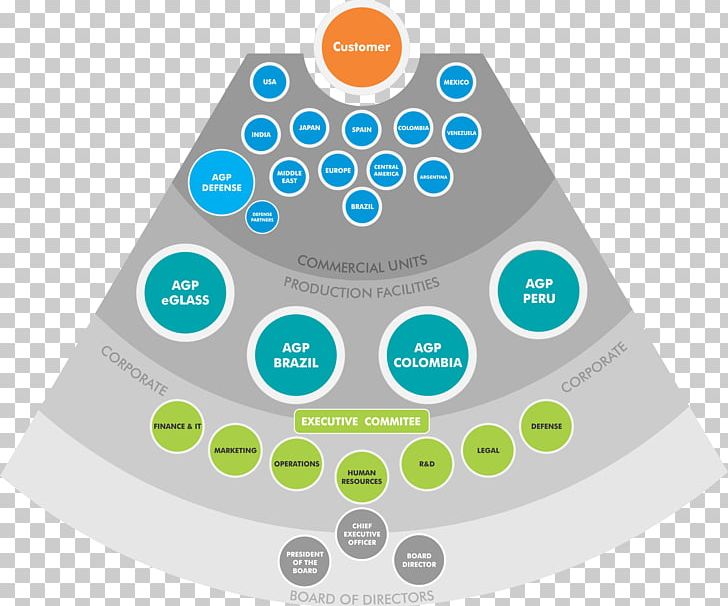 Organizational Structure Organizational Chart Company PNG, Clipart, Agp, Board Of Directors, Chief Executive, Company, Diagram Free PNG Download