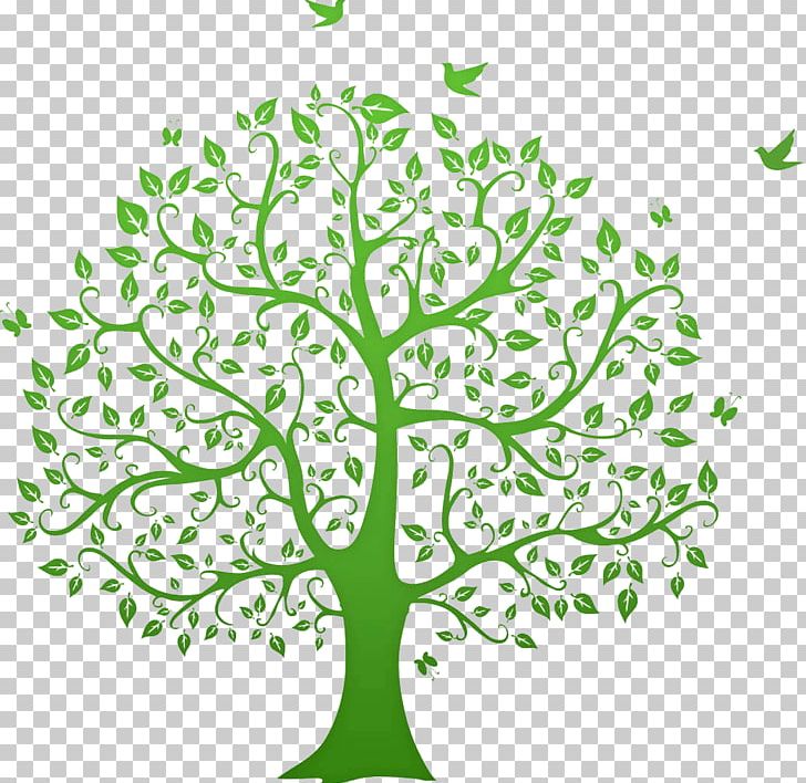 Genealogy Graphics Family Tree Open PNG, Clipart, Ancestor, Artwork, Branch, Family, Family Reunion Free PNG Download