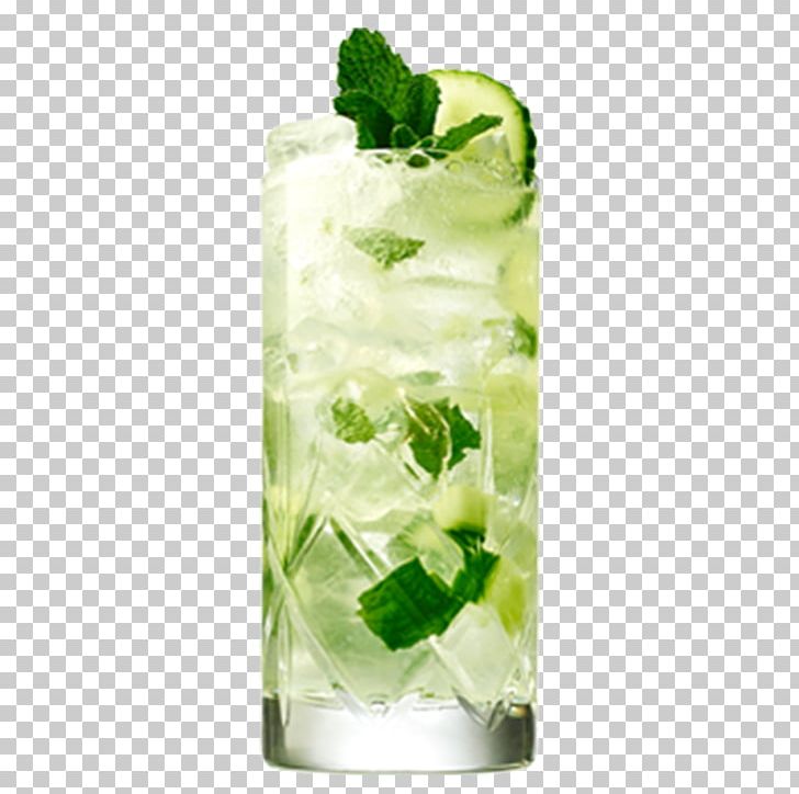 Gin And Tonic Cocktail Buck Distilled Beverage PNG, Clipart, Bottle, Caipiroska, Cocktail Garnish, Cucumber, Drink Free PNG Download