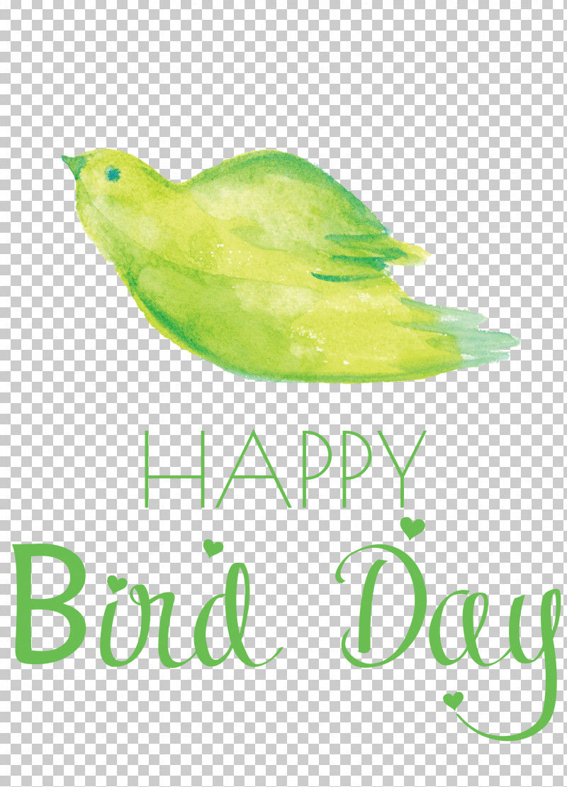 Bird Day Happy Bird Day International Bird Day PNG, Clipart, Beak, Biology, Bird Day, Birds, Feather Free PNG Download
