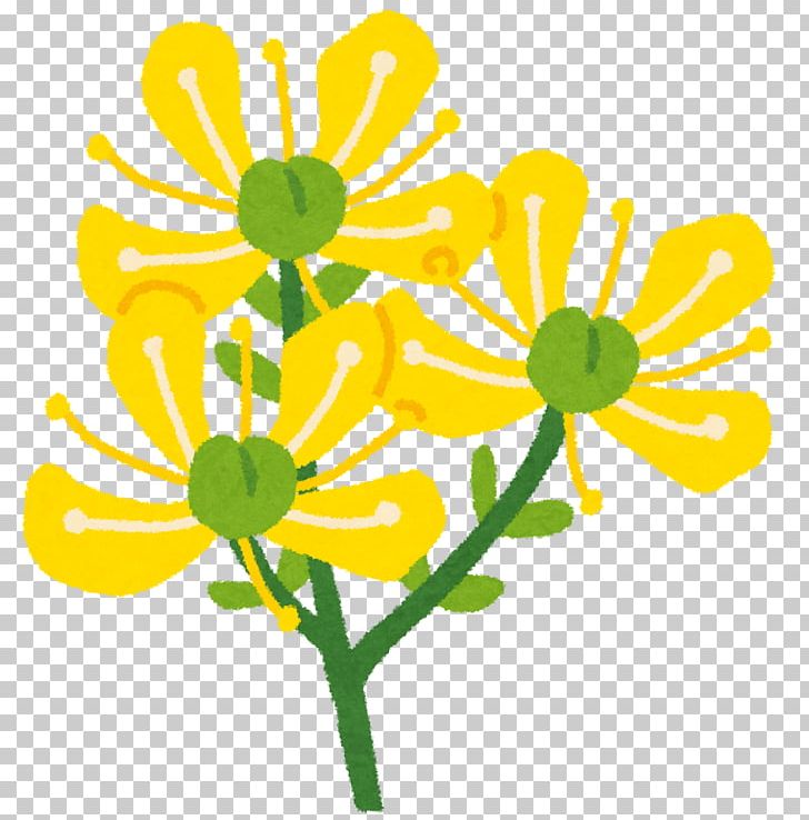 Floral Design Cut Flowers Chrysanthemum Plant Stem PNG, Clipart, Artwork, Chrysanthemum, Chrysanths, Cut Flowers, Daisy Free PNG Download