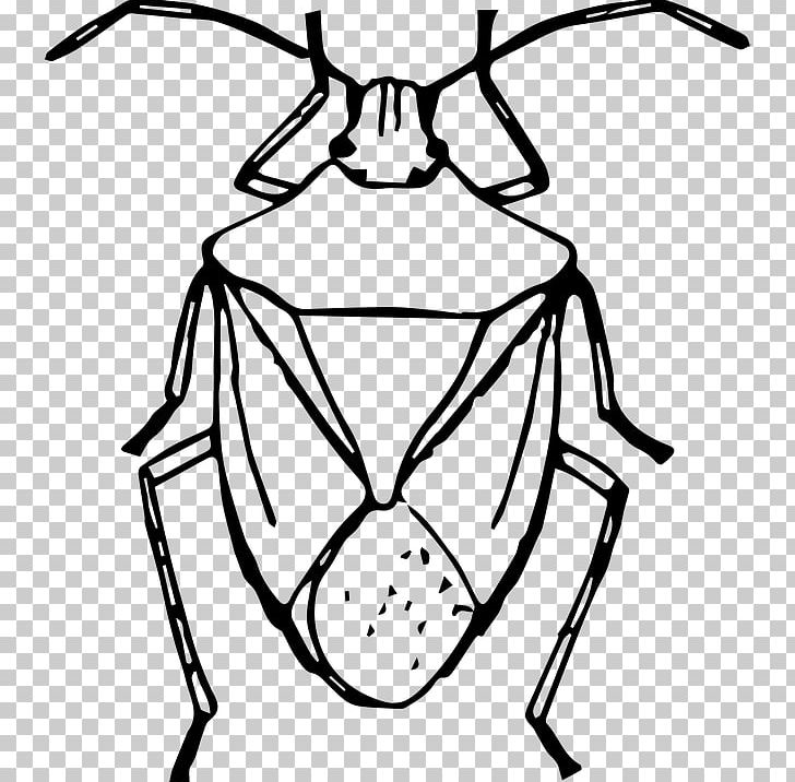 Beetle Brown Marmorated Stink Bug Drawing PNG, Clipart, Animals, Arthropod, Artwork, Beetle, Black Free PNG Download